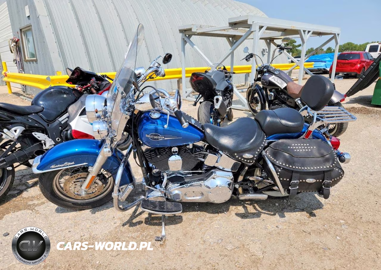 2005 Harley-Davidson Flstci VIN:1HD1BWB135Y058411 - 3