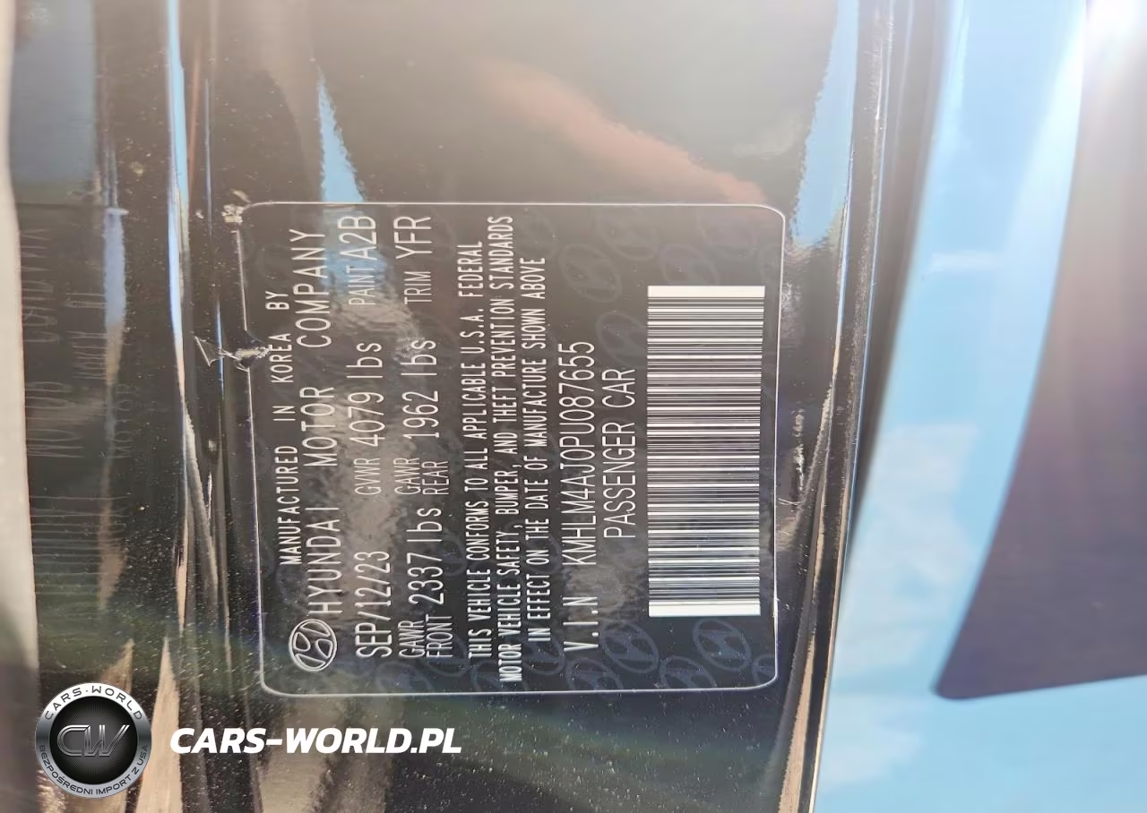 2023 Hyundai Elantra Blue VIN:KMHLM4AJ0PU087655 - 12