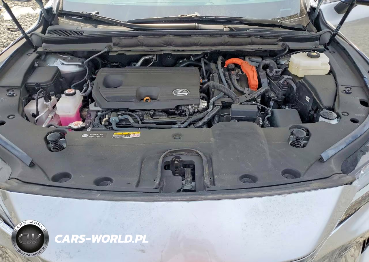 2024 Lexus Rx 350H Premium+ VIN:2T2BBMCA4RC042491 - 11
