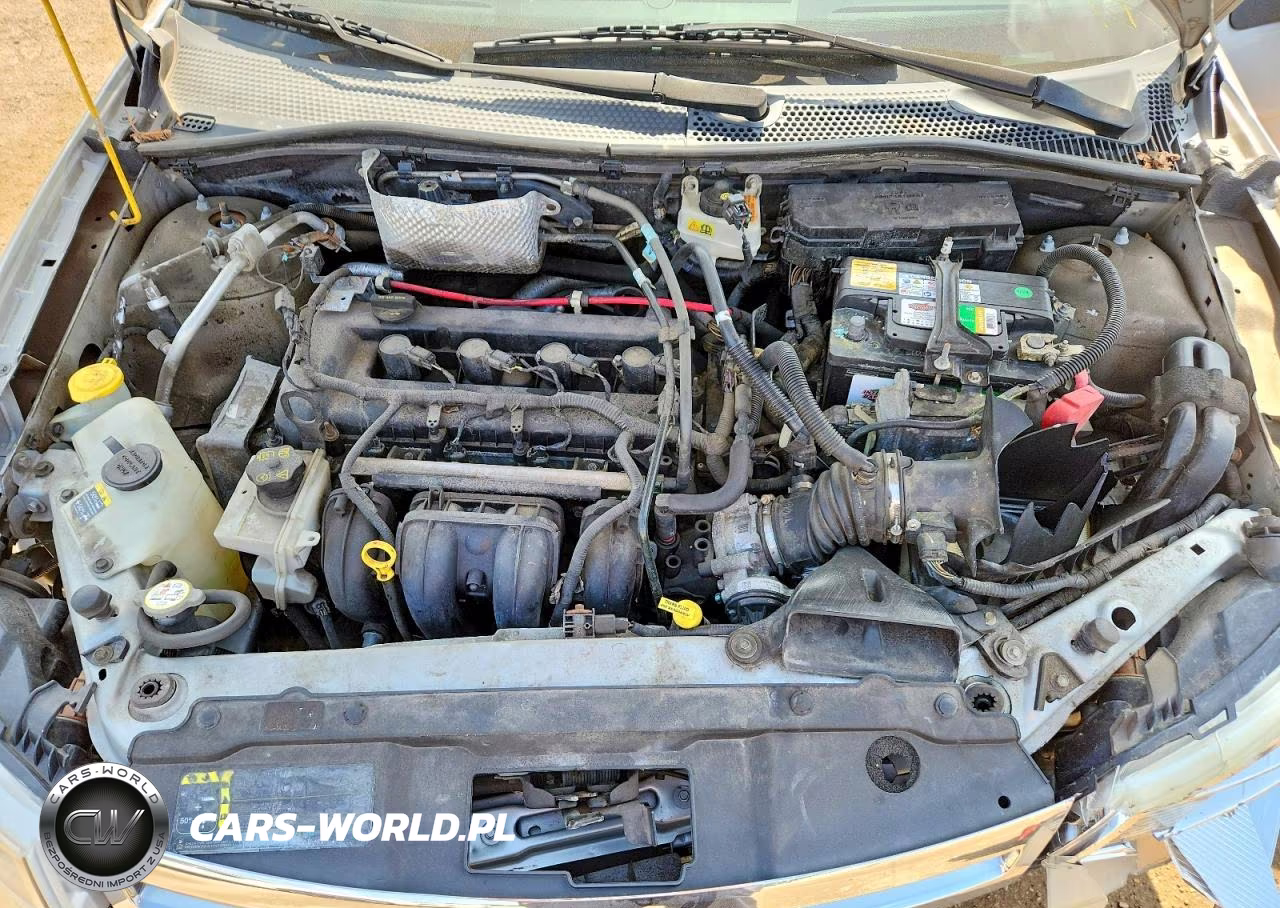 2009 Ford Focus Se VIN:1FAHP35N19W111905 - 11