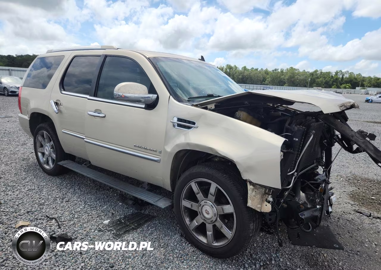 2009 Cadillac Escalade Luxury VIN:1GYFK23279R131331 - 4