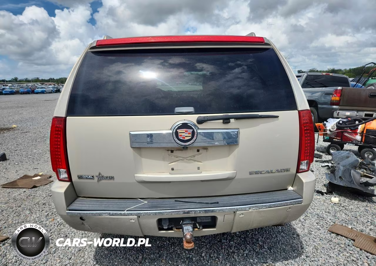 2009 Cadillac Escalade Luxury VIN:1GYFK23279R131331 - 6