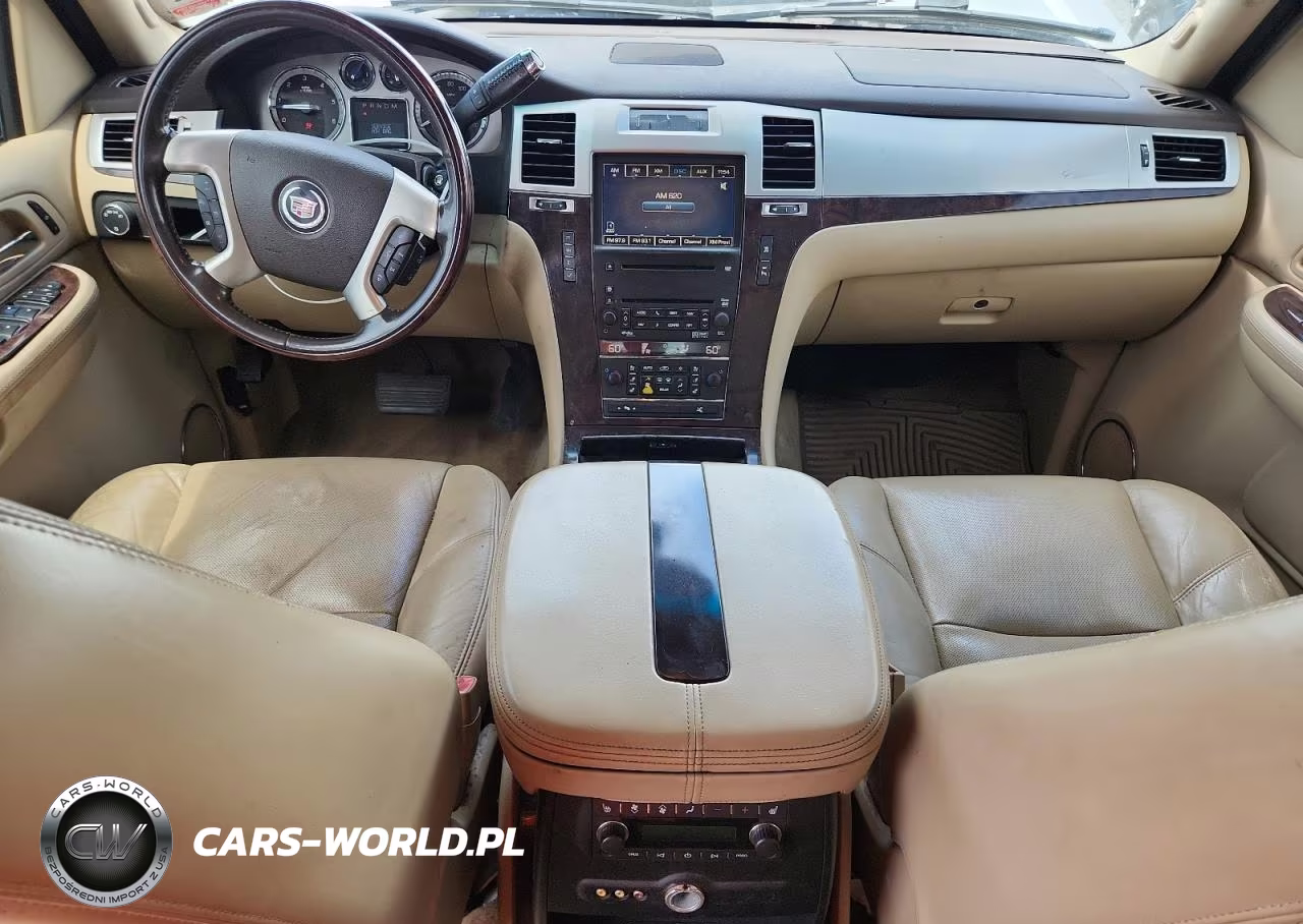 2009 Cadillac Escalade Luxury VIN:1GYFK23279R131331 - 8
