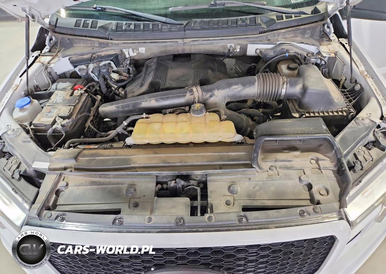 2020 Ford F150 Supercrew VIN:1FTEW1E40LKE15706 - 11