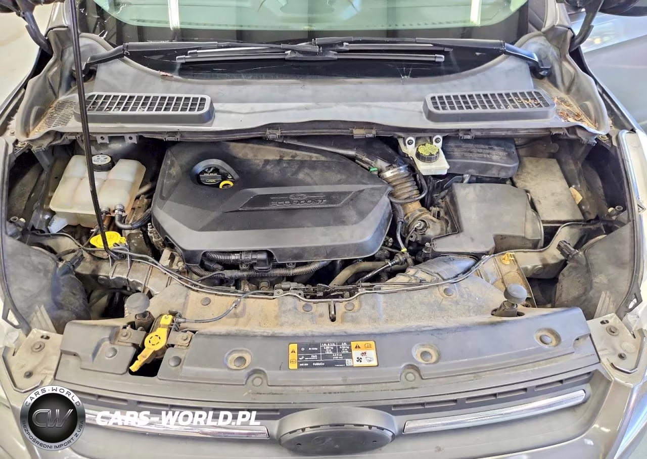 2014 Ford Escape Se VIN:1FMCU9GXXEUD97852 - 12