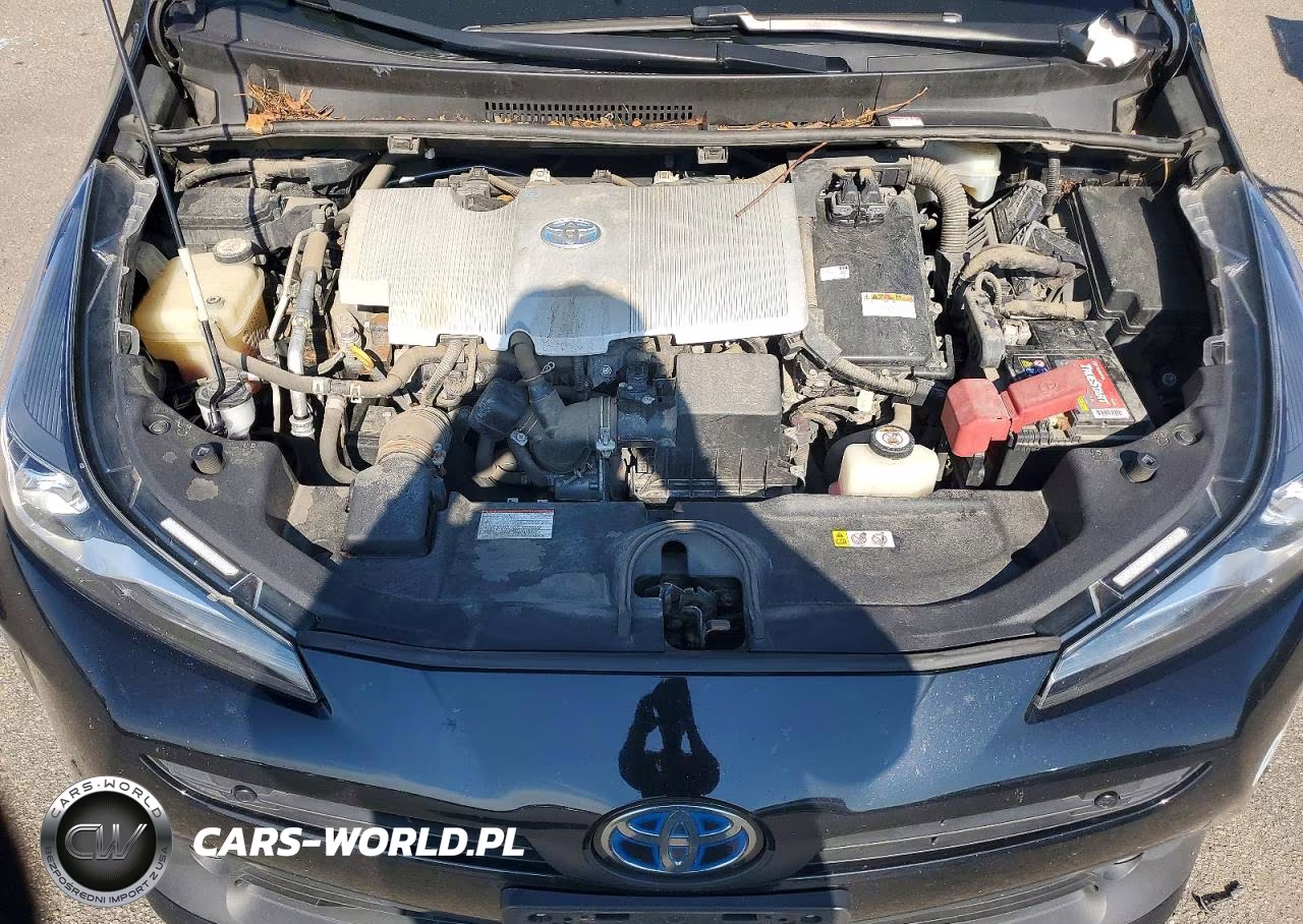 2019 Toyota Prius Le Awd-E VIN:JTDL9RFU1K3008904 - 11