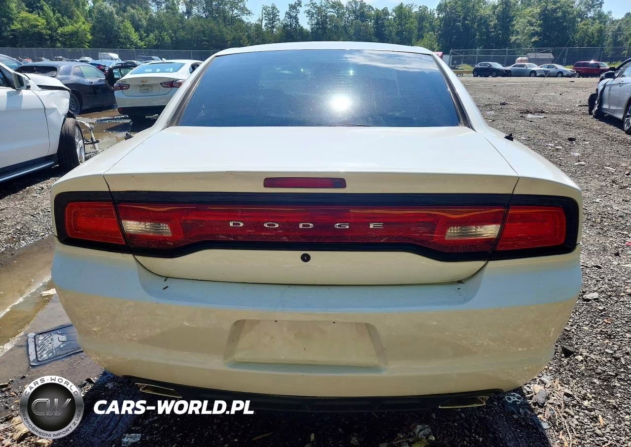 2012 Dodge Charger Police VIN:2C3CDXAG7CH304422 - 6