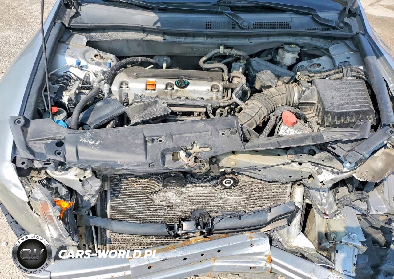 2009 Honda Accord Lx VIN:1HGCP26339A186177 - 11