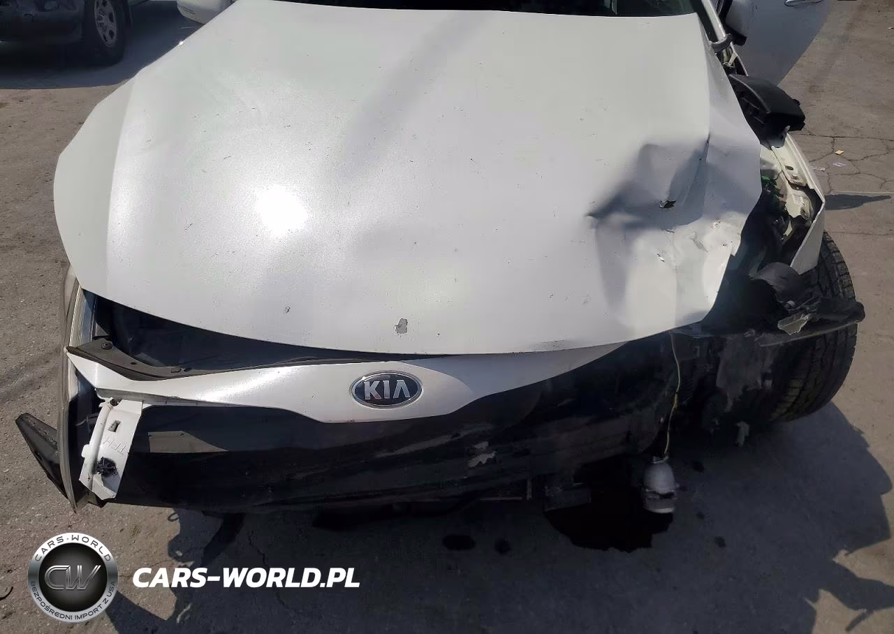 2013 Kia Optima Hybrid VIN:KNAGM4AD3D5058640 - 11