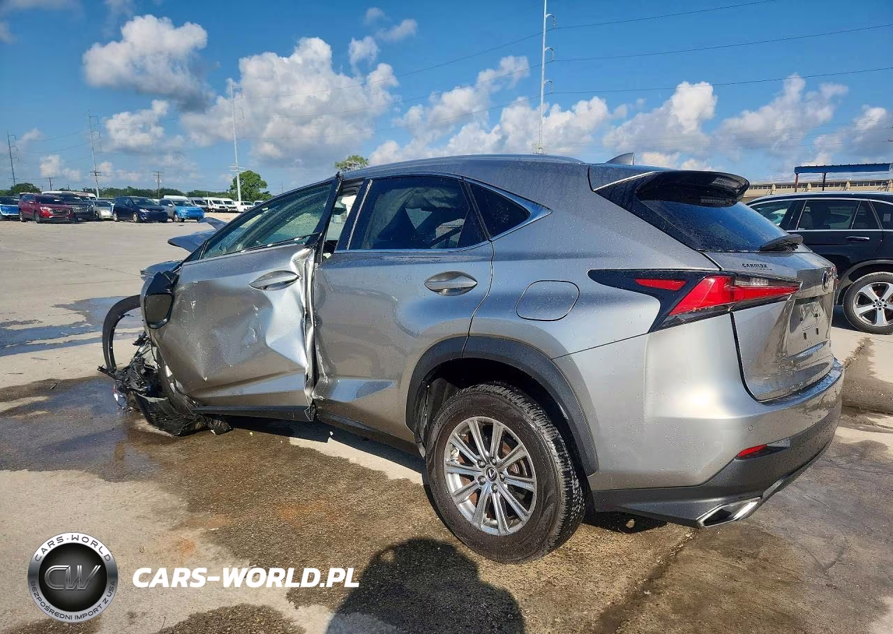 2019 Lexus Nx 300 Base VIN:JTJBARBZ4K2188774 - 2