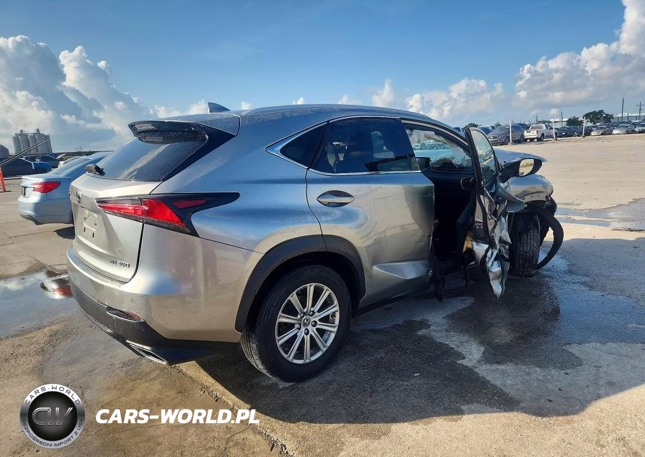 2019 Lexus Nx 300 Base VIN:JTJBARBZ4K2188774 - 3