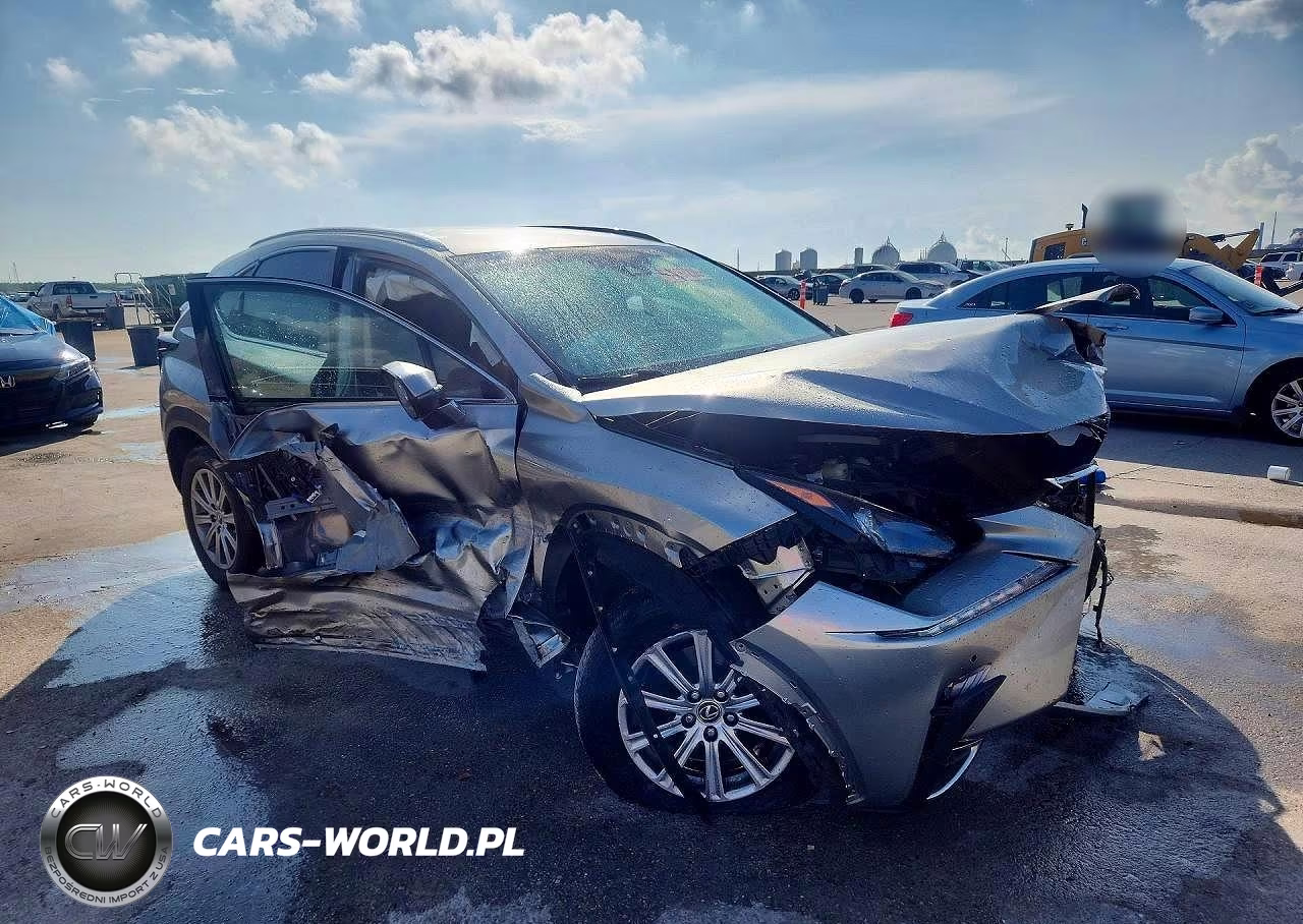 2019 Lexus Nx 300 Base VIN:JTJBARBZ4K2188774 - 4