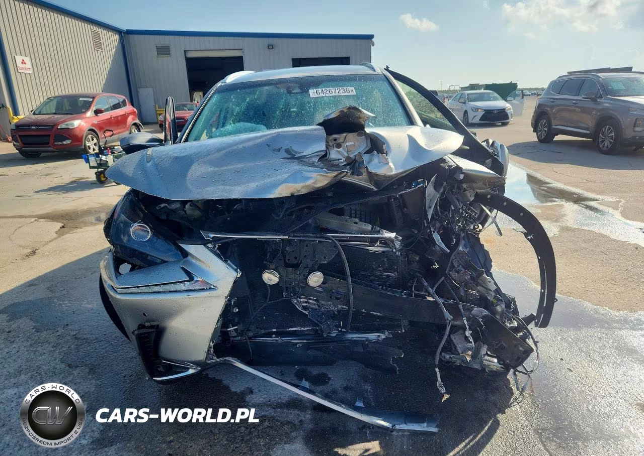 2019 Lexus Nx 300 Base VIN:JTJBARBZ4K2188774 - 5