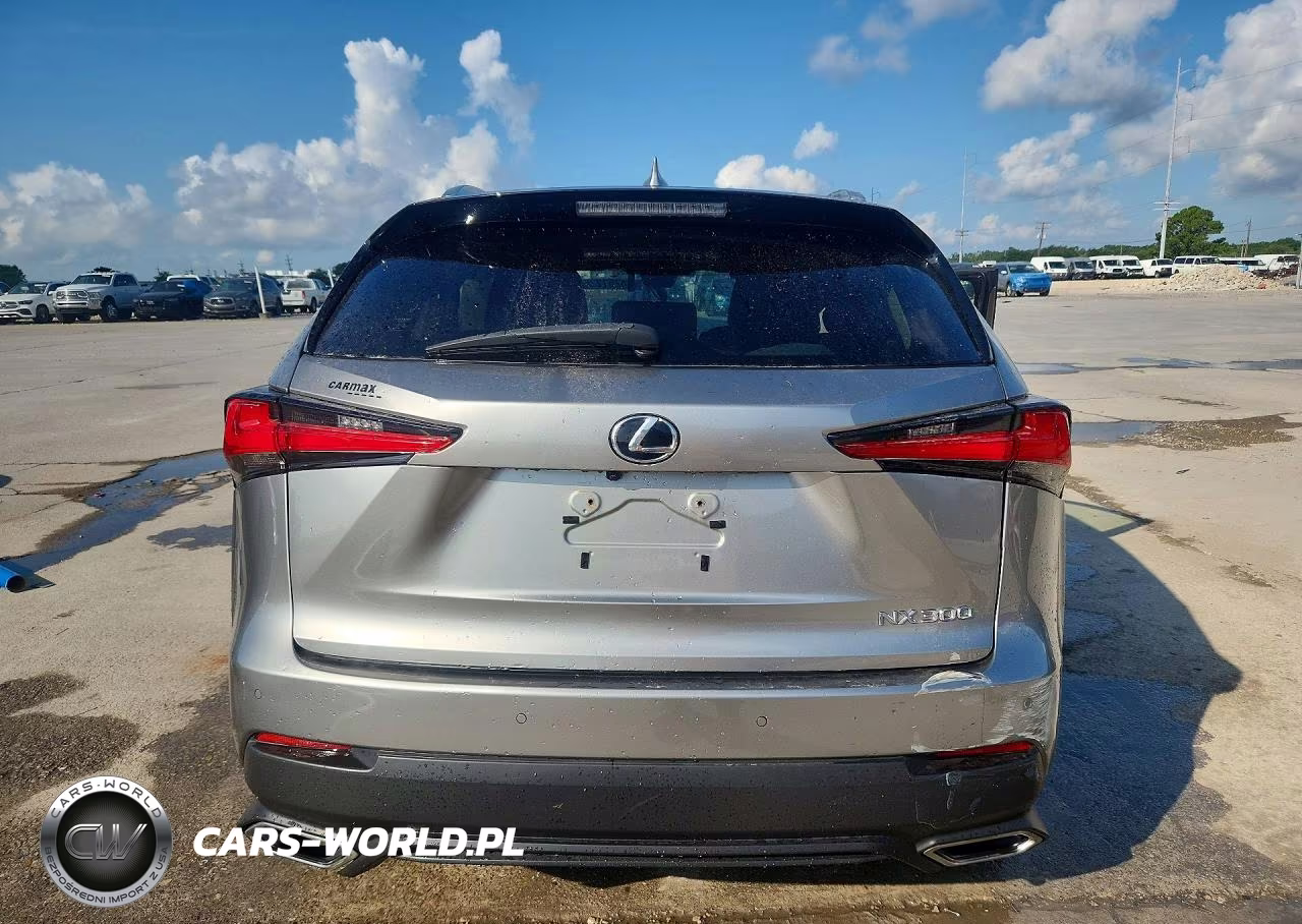 2019 Lexus Nx 300 Base VIN:JTJBARBZ4K2188774 - 6