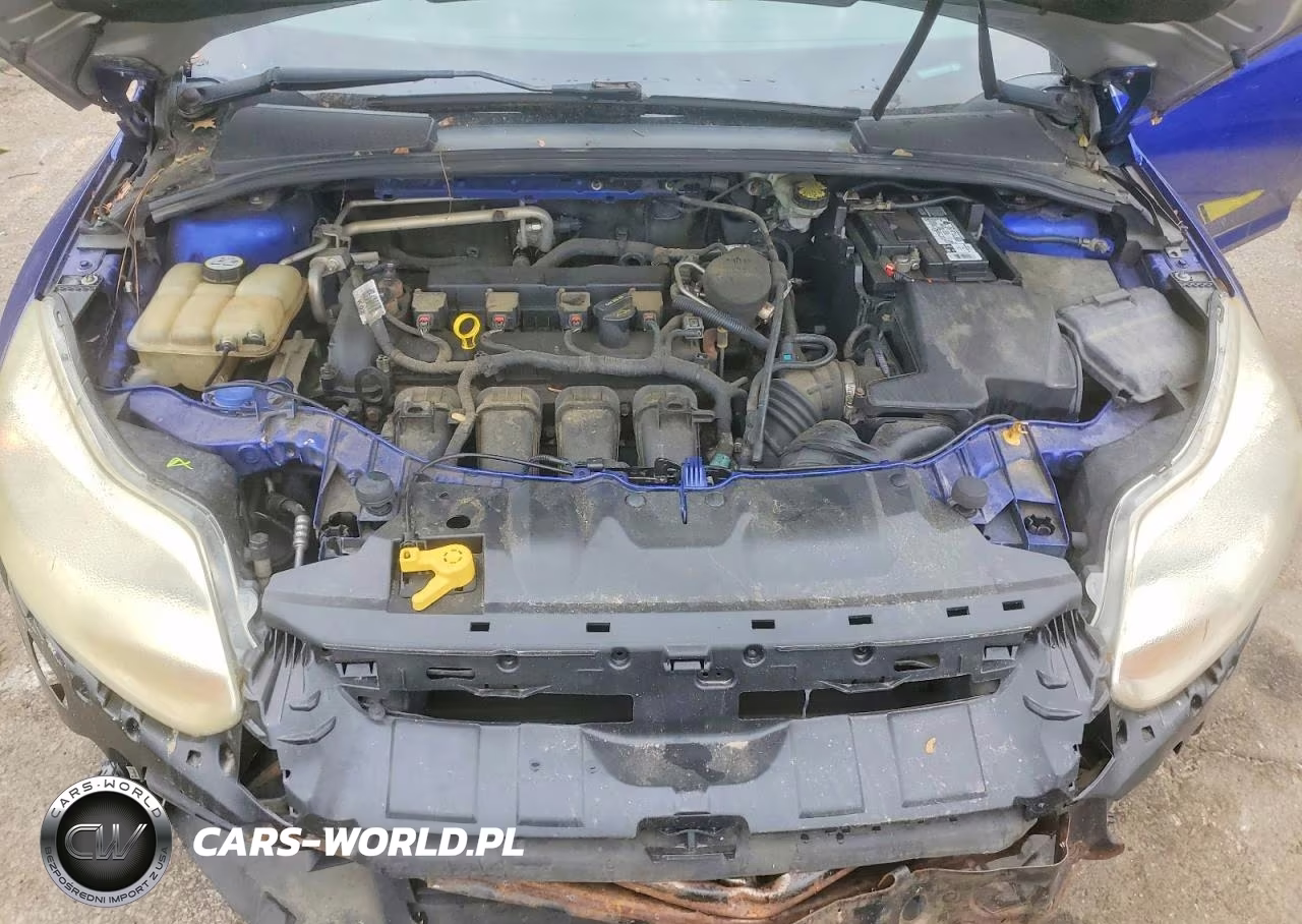 FORD FOCUS SE VIN:1FADP3F28DL321124 - 11