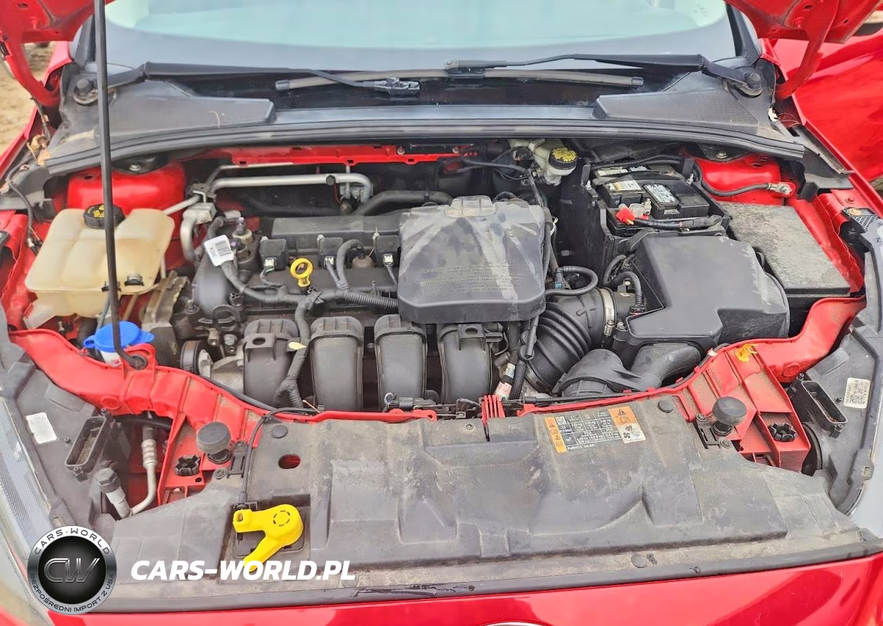 2015 Ford Focus Se VIN:1FADP3F21FL365310 - 11