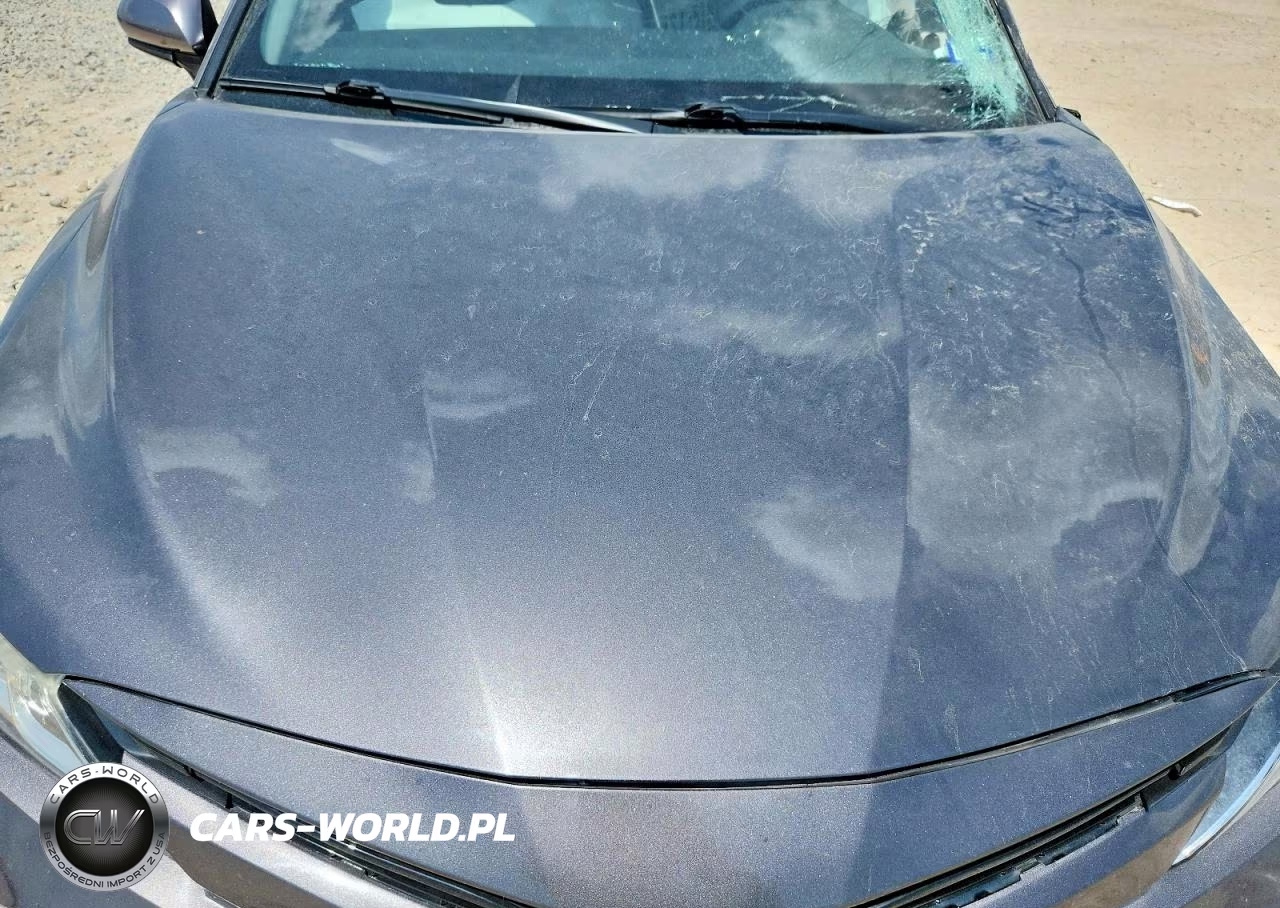 2019 Toyota Camry Le VIN:4T1B11HK8KU805124 - 11
