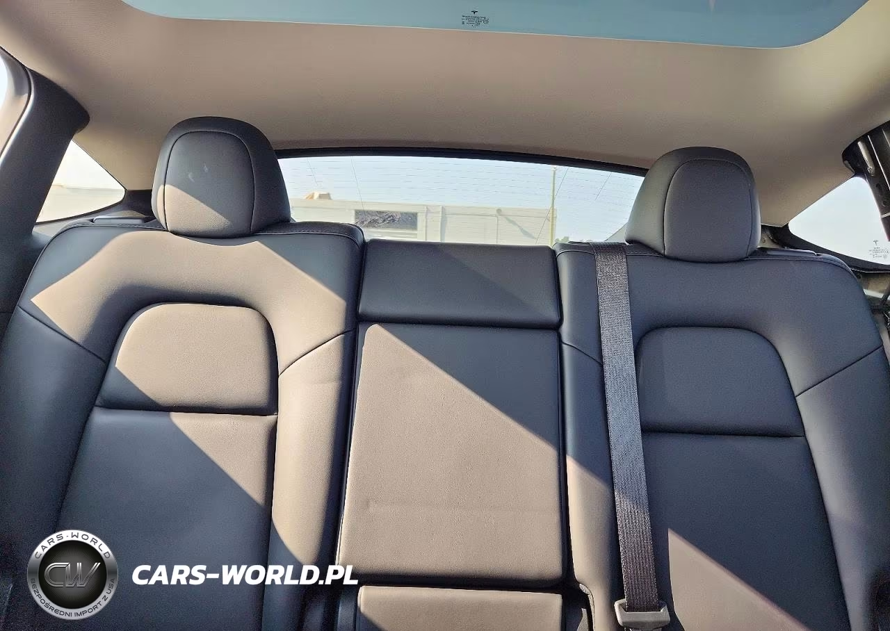 2023 Tesla Model Y VIN:7SAYGAEE5PF696829 - 10