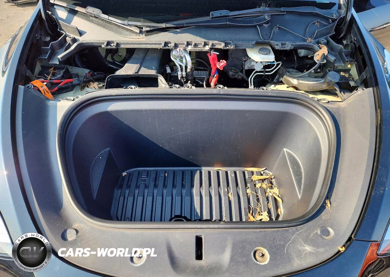 2023 Tesla Model Y VIN:7SAYGAEE5PF696829 - 12