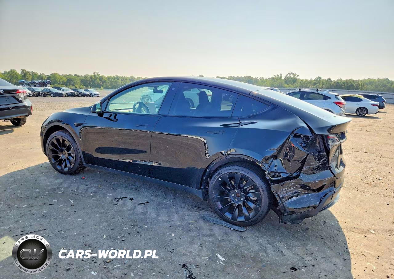 2023 Tesla Model Y VIN:7SAYGAEE5PF696829 - 2
