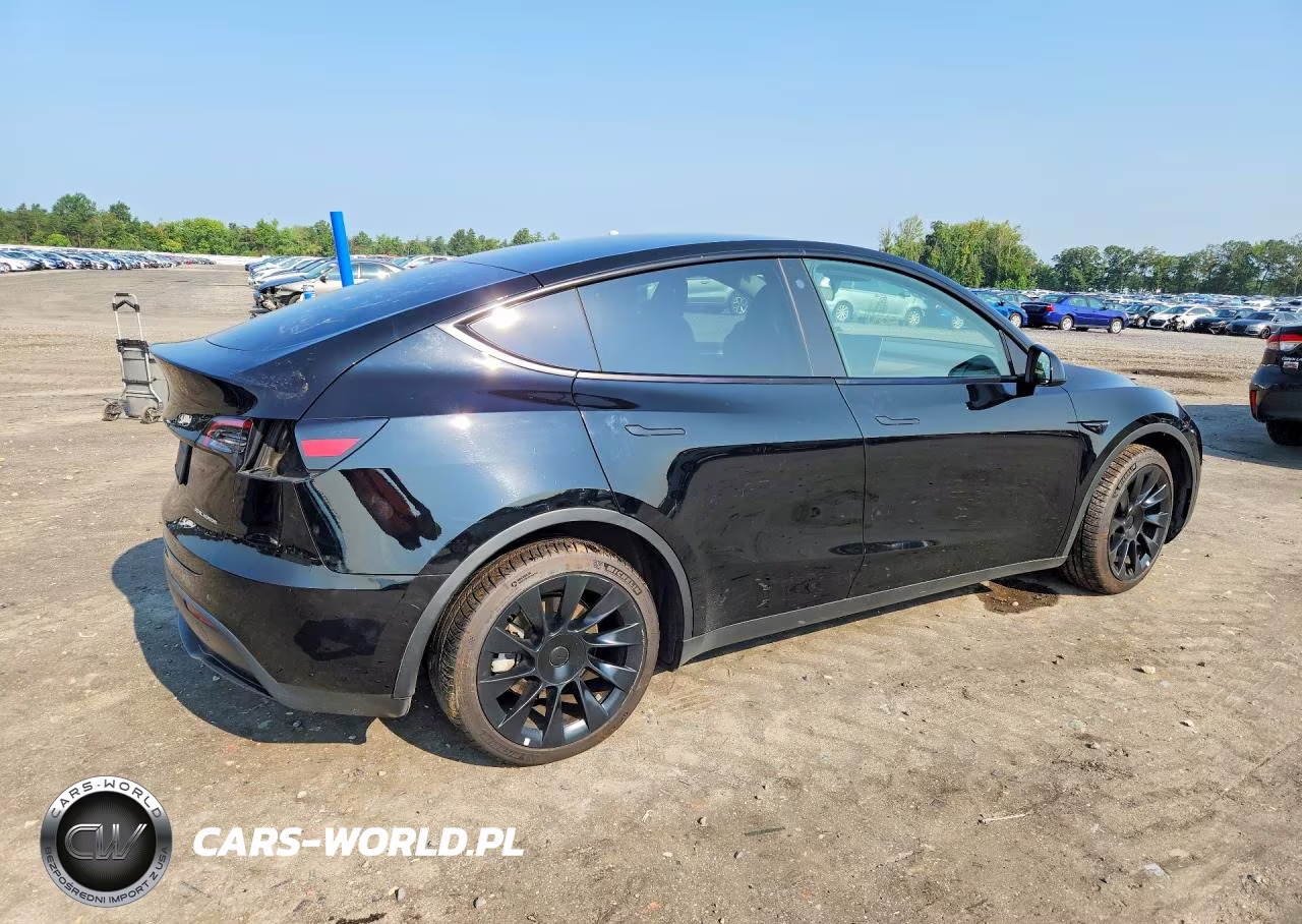 2023 Tesla Model Y VIN:7SAYGAEE5PF696829 - 3
