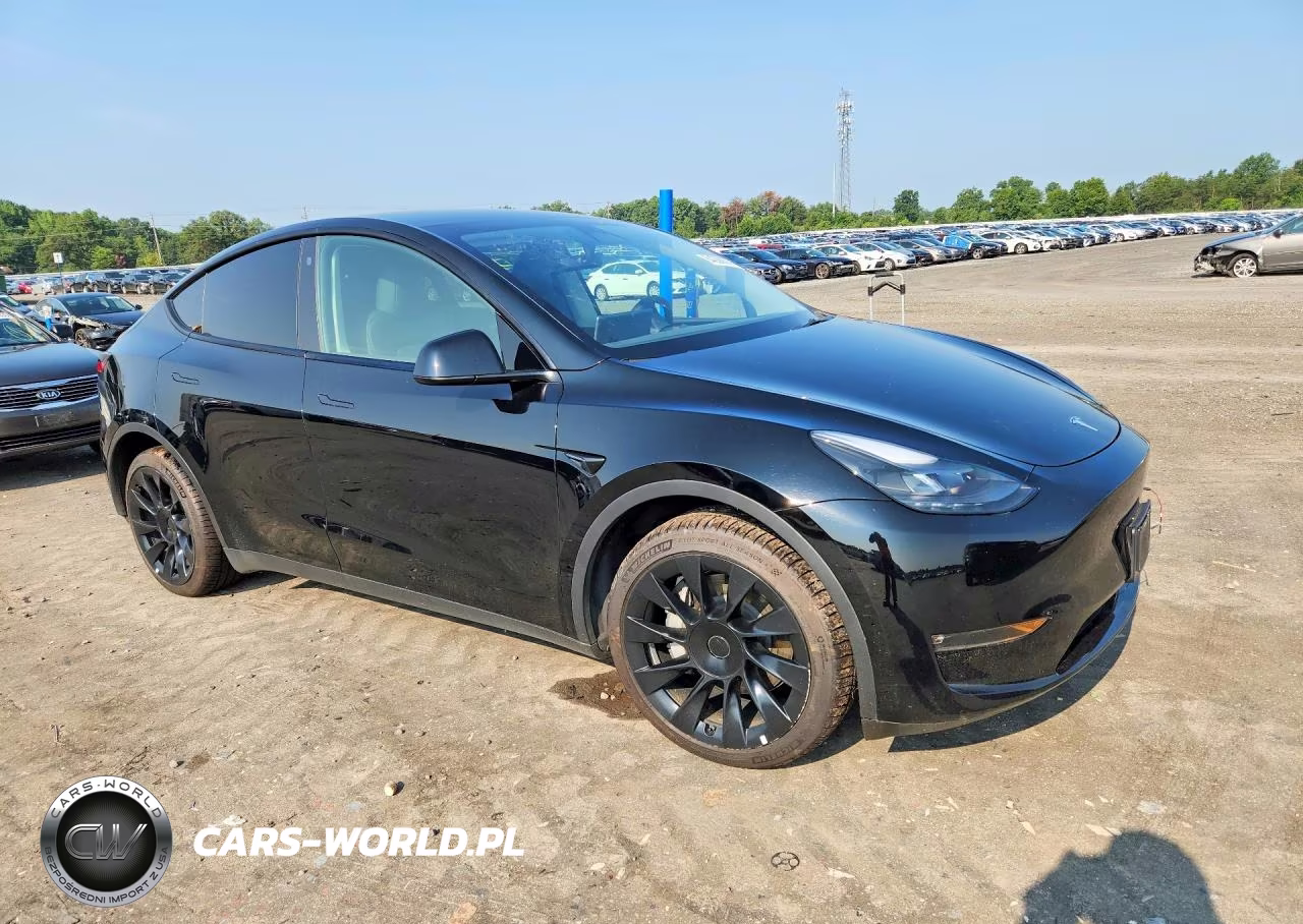 2023 Tesla Model Y VIN:7SAYGAEE5PF696829 - 4