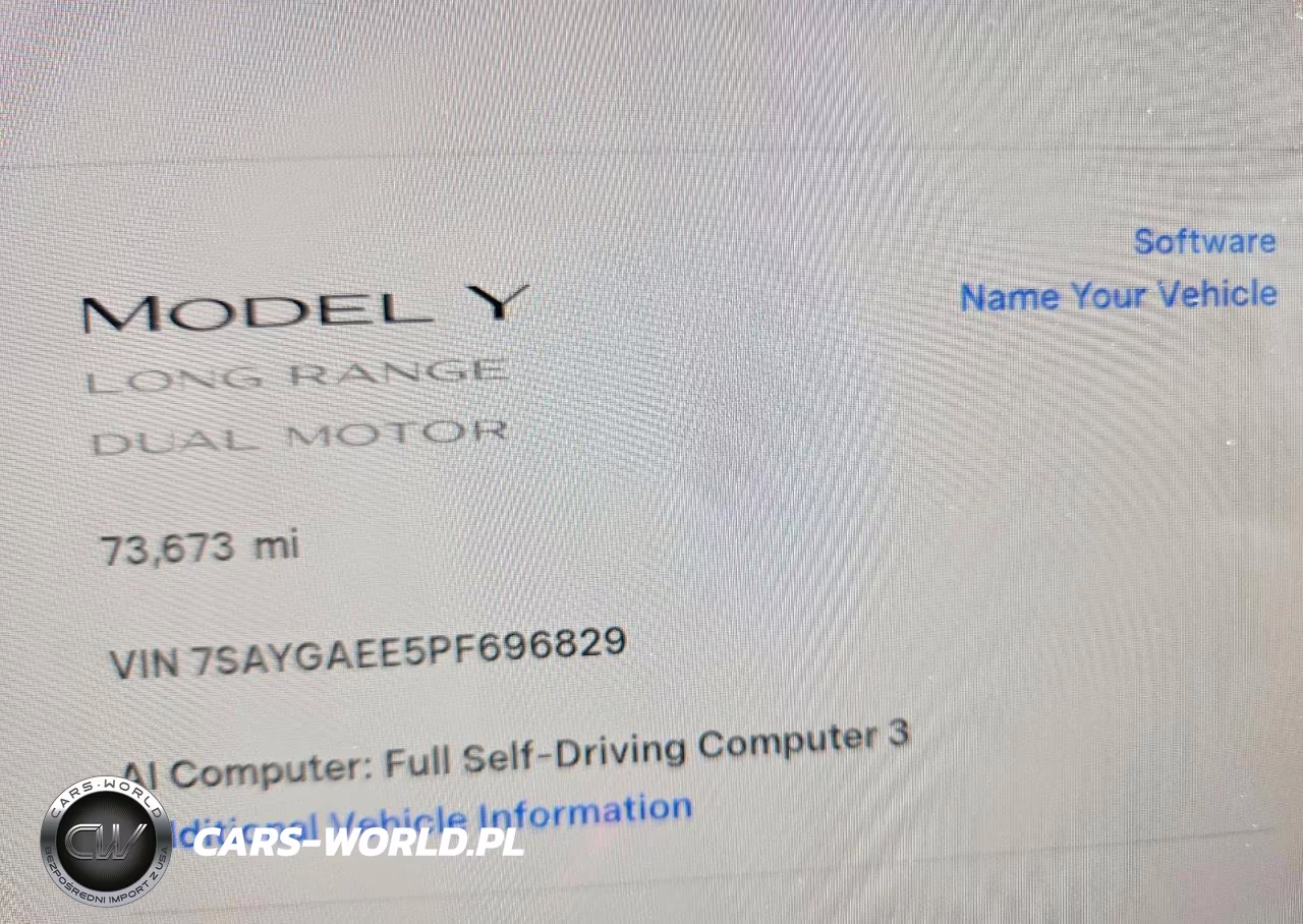 2023 Tesla Model Y VIN:7SAYGAEE5PF696829 - 9