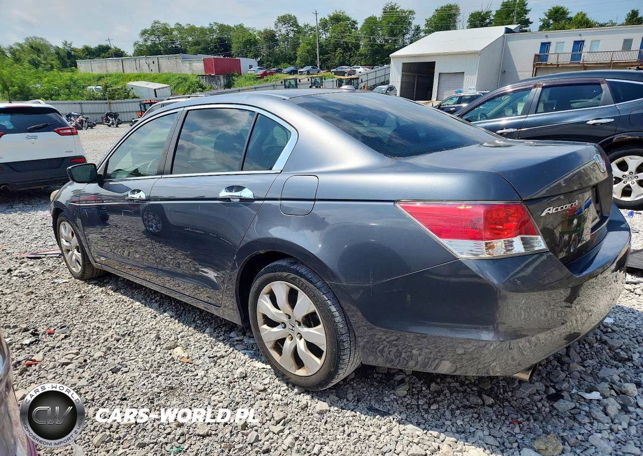 2009 Honda Accord Exl VIN:5KBCP36859B002950 - 2