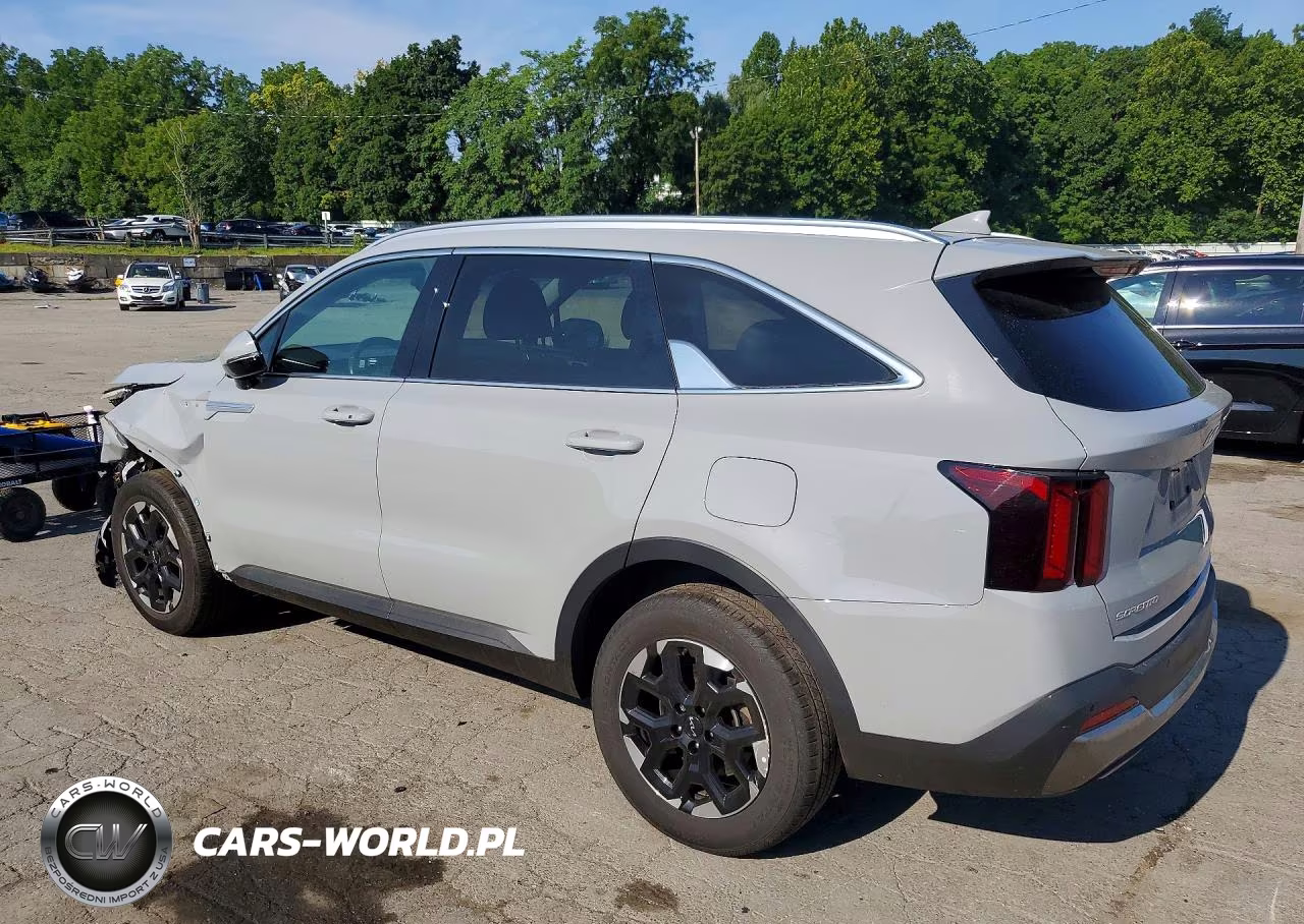 2024 Kia Sorento S VIN:5XYRLDJC6RG301765 - 2