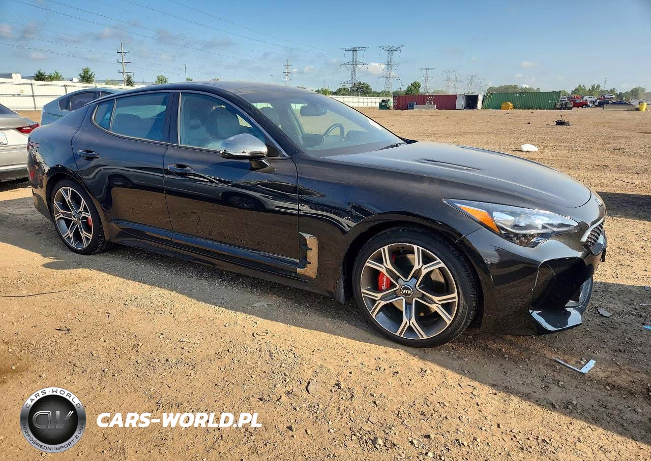 2020 Kia Stinger Gt2 VIN:KNAE55LC1L6074231 - 4