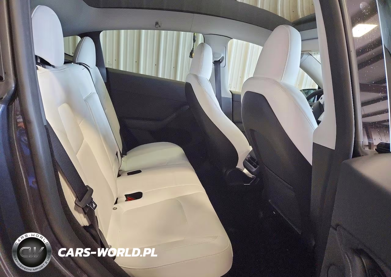 2023 Tesla Model Y VIN:7SAYGDEE4PA113245 - 10