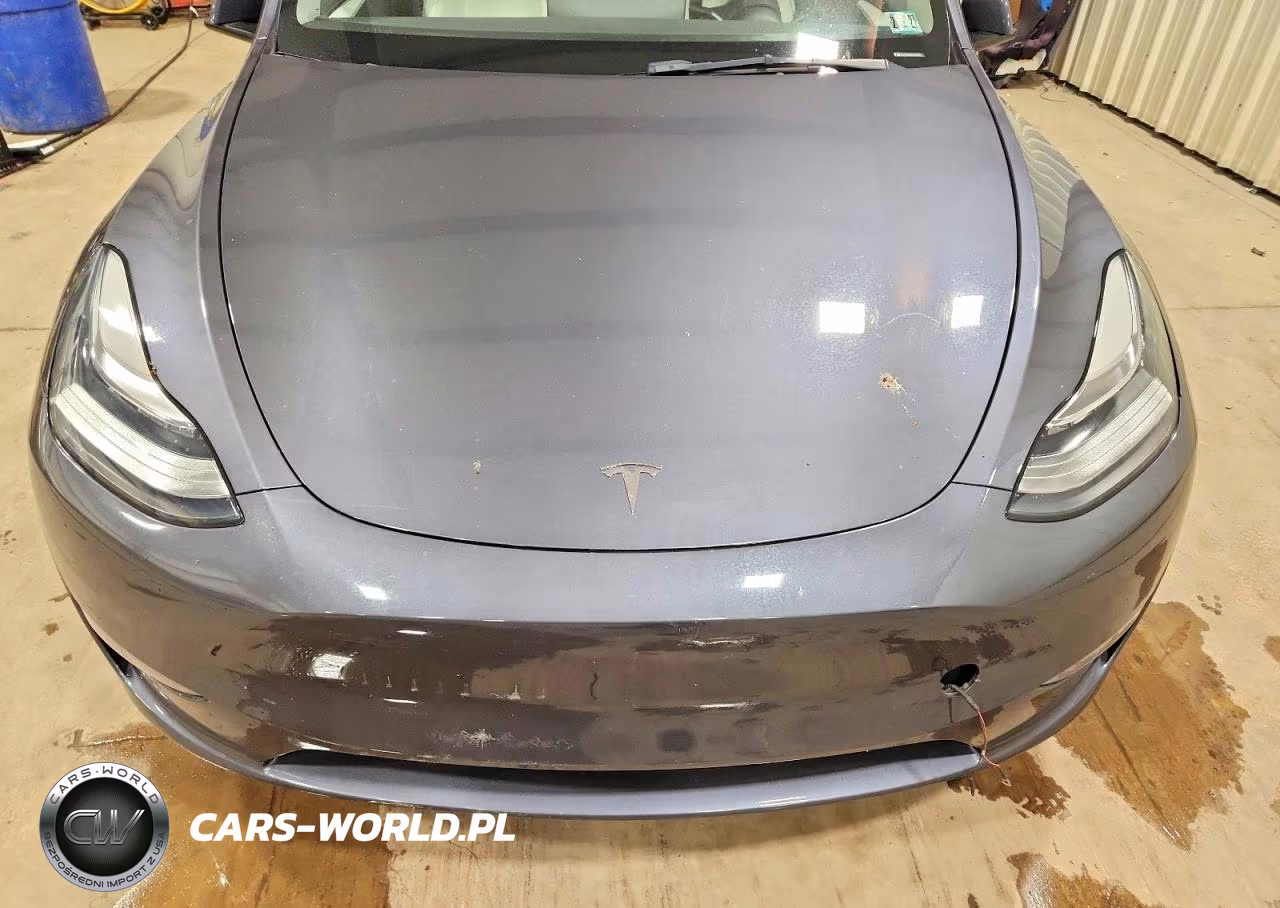 2023 Tesla Model Y VIN:7SAYGDEE4PA113245 - 11