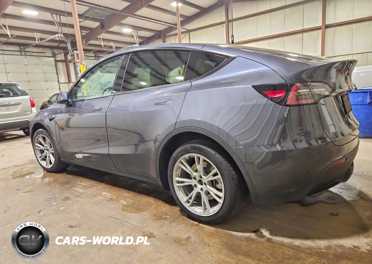 2023 Tesla Model Y VIN:7SAYGDEE4PA113245 - 2