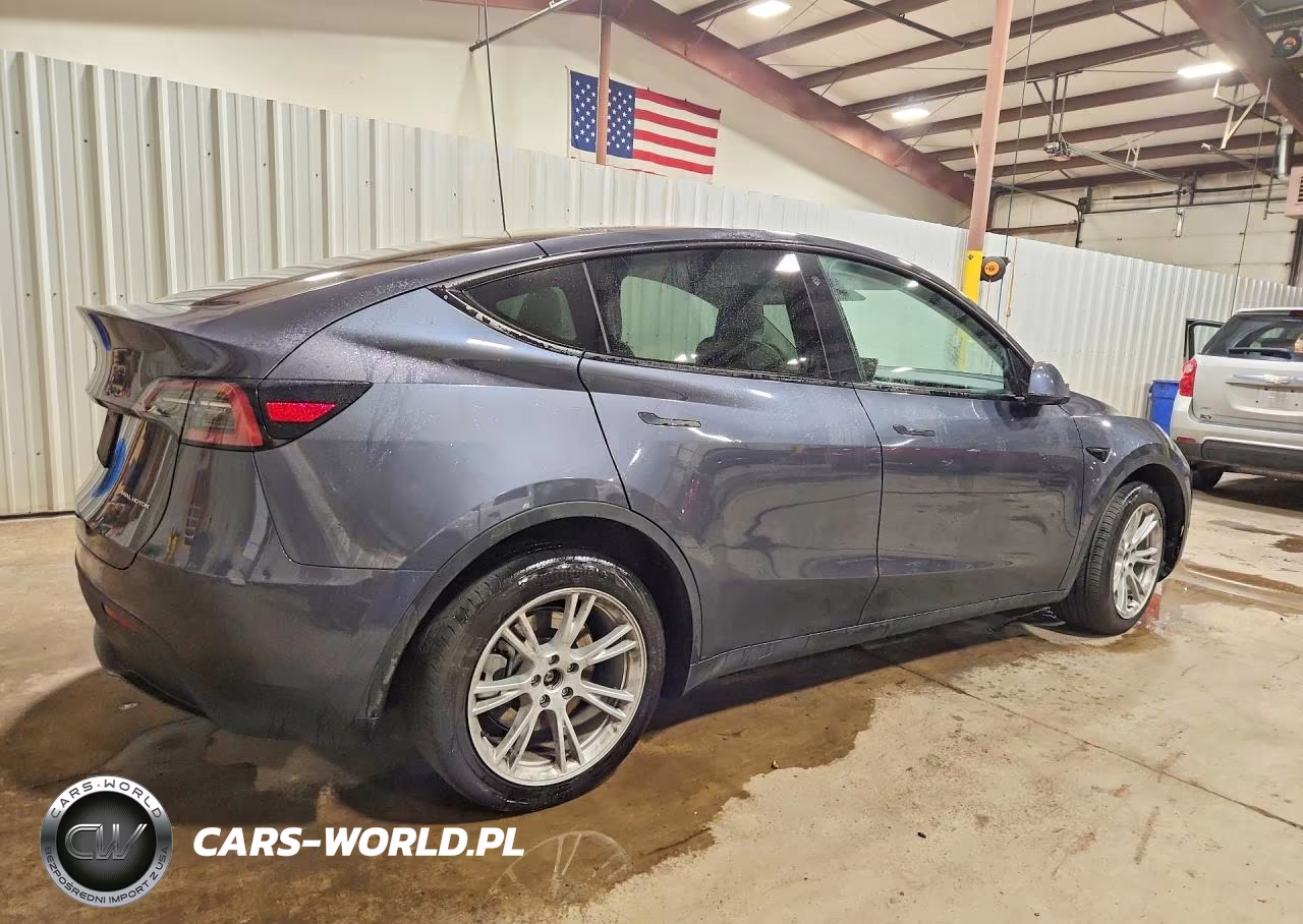 2023 Tesla Model Y VIN:7SAYGDEE4PA113245 - 3
