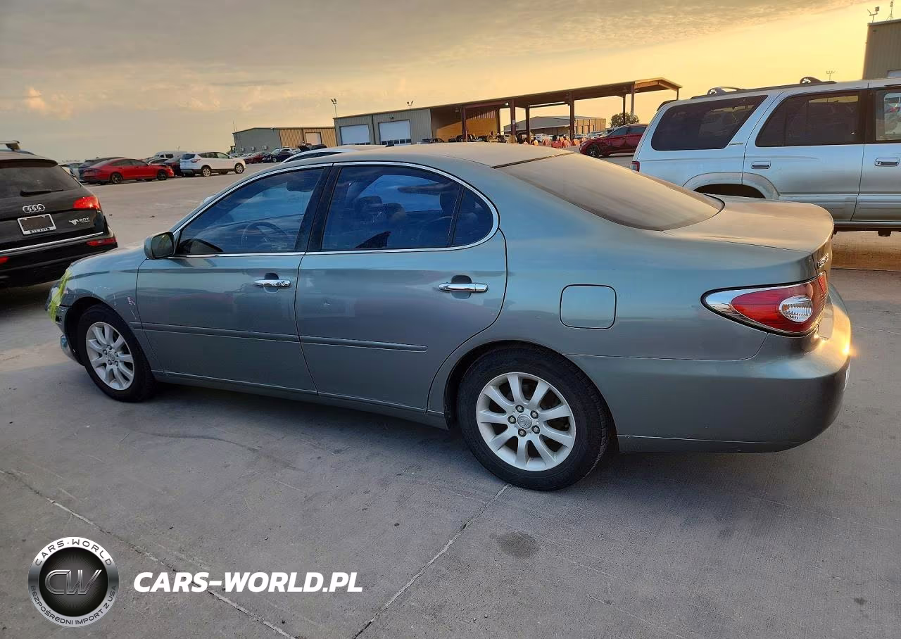 2004 Lexus Es 330 VIN:JTHBA30G745040166 - 2