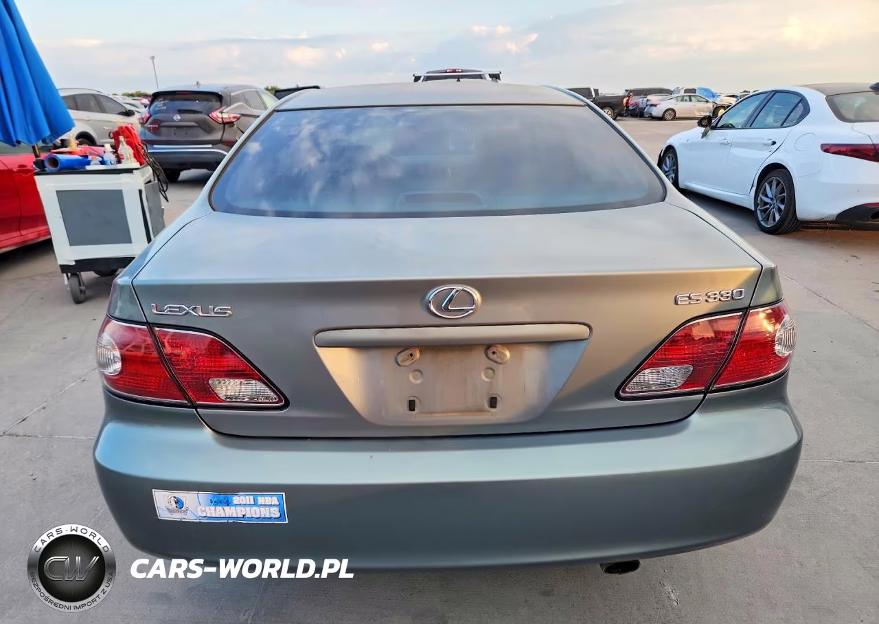 2004 Lexus Es 330 VIN:JTHBA30G745040166 - 6