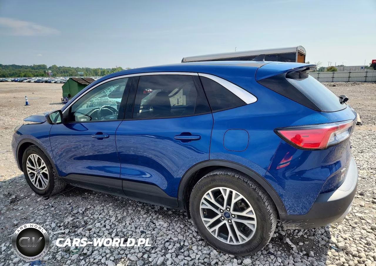 2022 Ford Escape Sel VIN:1FMCU0H62NUA85851 - 2