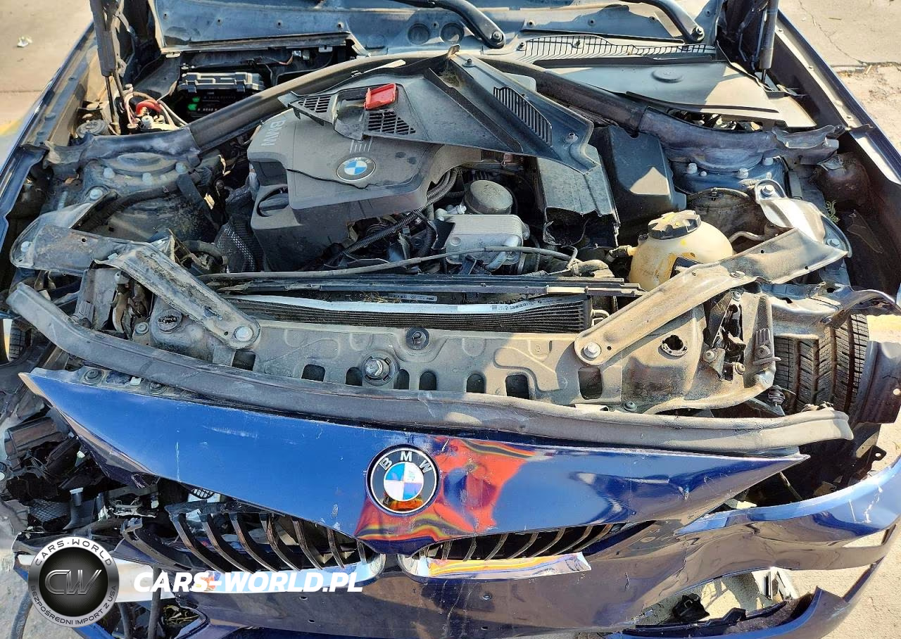 2016 BMW 228 Xi Sulev VIN:WBA1L9C59GV325411 - 11
