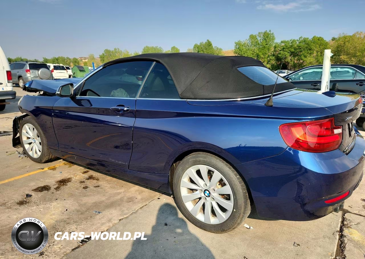2016 BMW 228 Xi Sulev VIN:WBA1L9C59GV325411 - 2