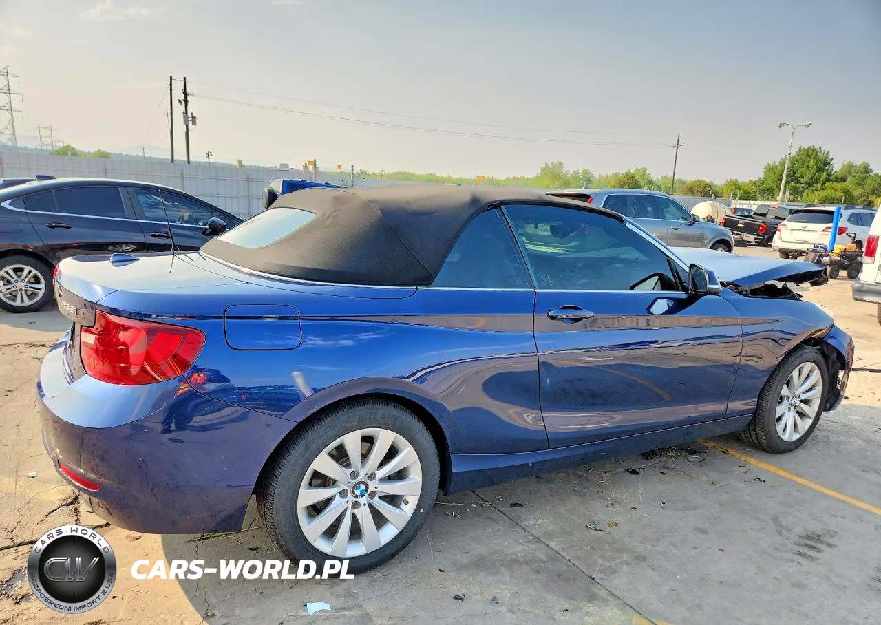 2016 BMW 228 Xi Sulev VIN:WBA1L9C59GV325411 - 3