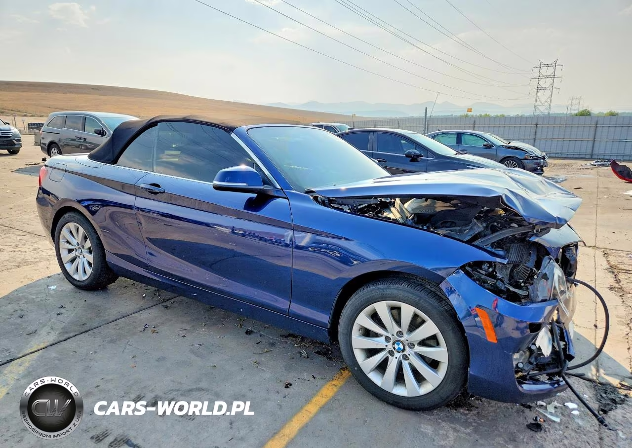 2016 BMW 228 Xi Sulev VIN:WBA1L9C59GV325411 - 4