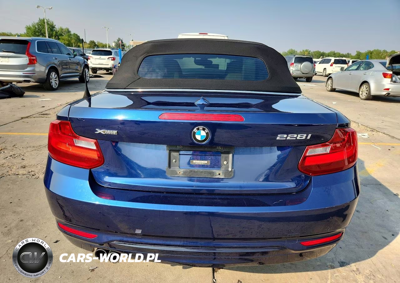 2016 BMW 228 Xi Sulev VIN:WBA1L9C59GV325411 - 6