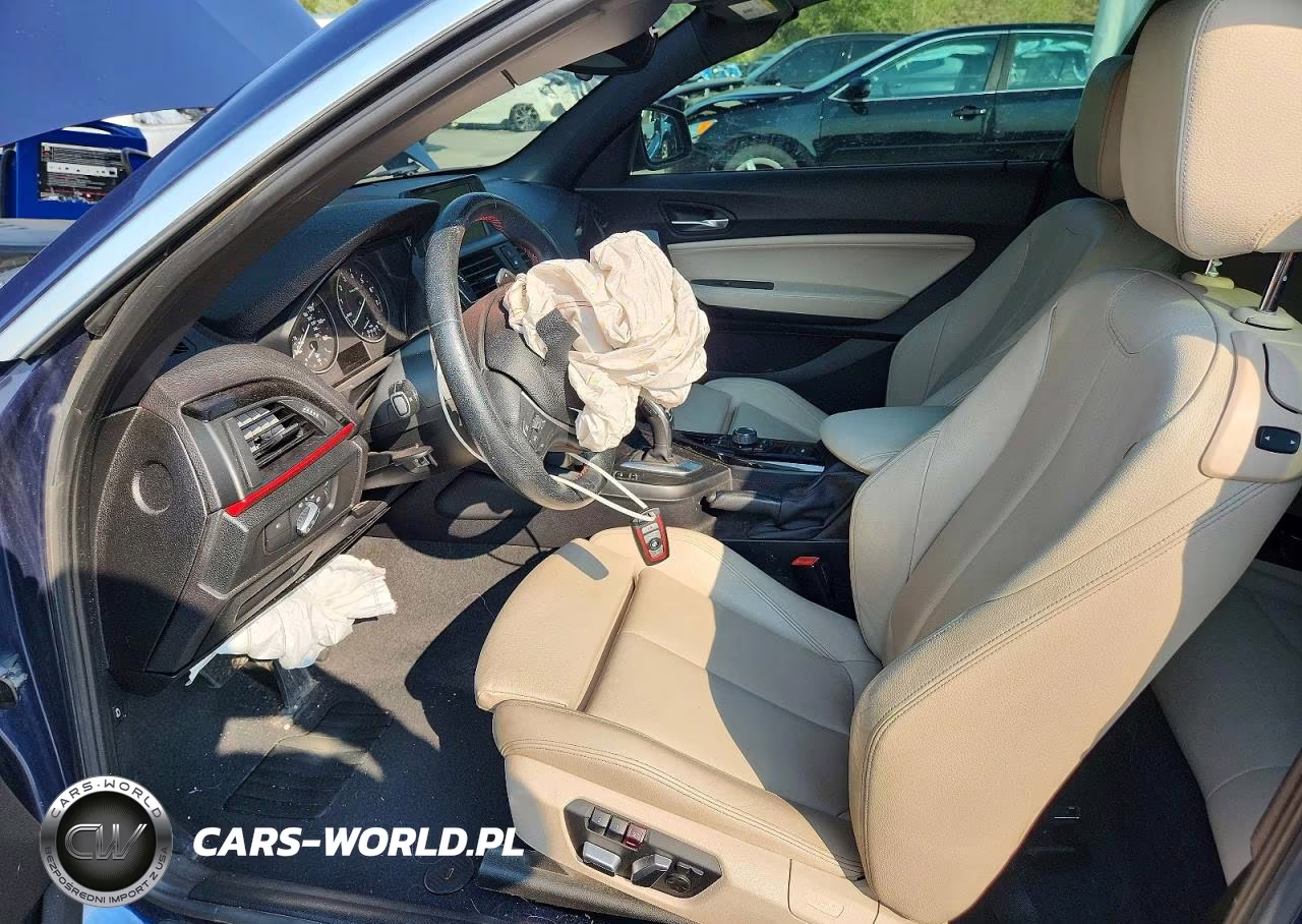 2016 BMW 228 Xi Sulev VIN:WBA1L9C59GV325411 - 7