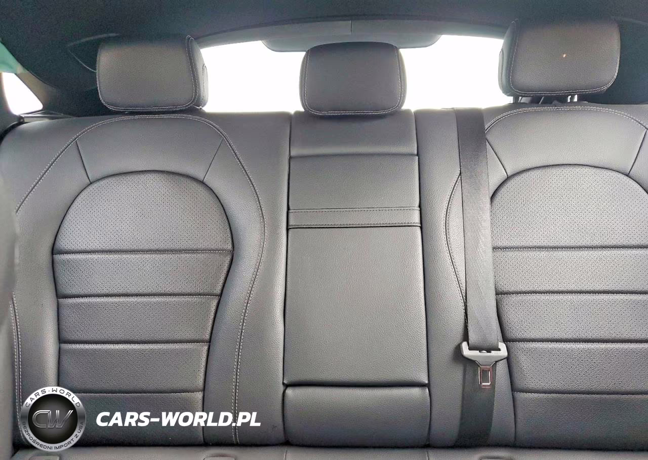 2020 Mercedes-Benz Glc Coupe 300 4Matic VIN:W1N0J8EB2LF759054 - 10
