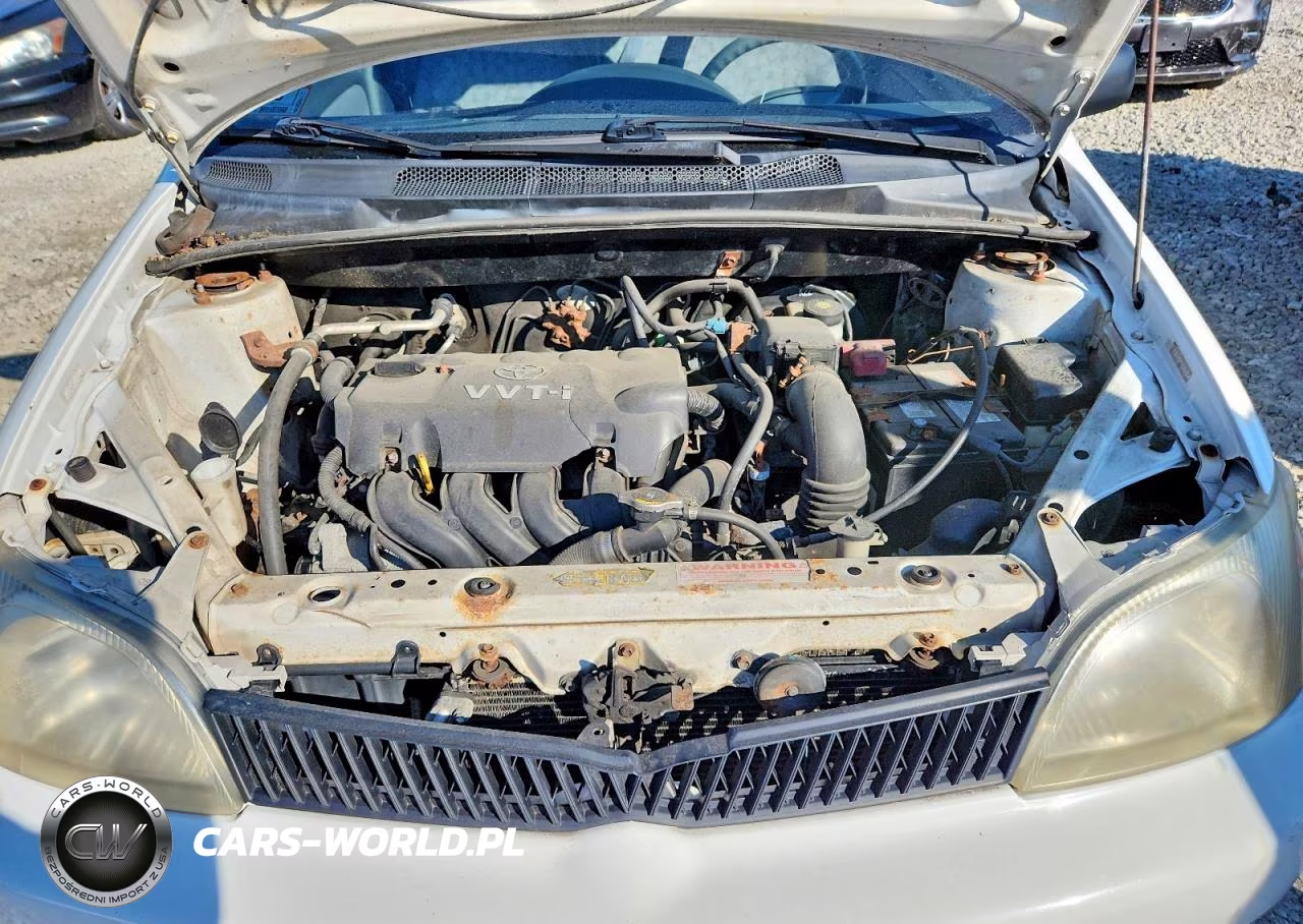 2002 Toyota Echo Base VIN:JTDBT123525026919 - 11