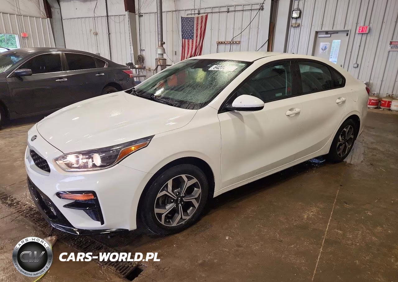 2019 Kia Forte Lxs