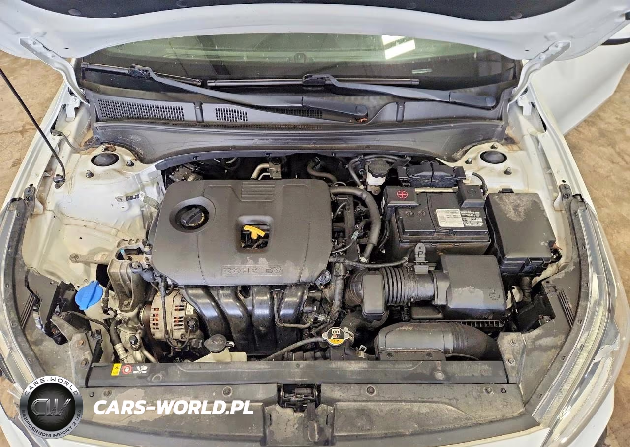 2019 Kia Forte Lxs VIN:3KPF24ADXKE043736 - 11