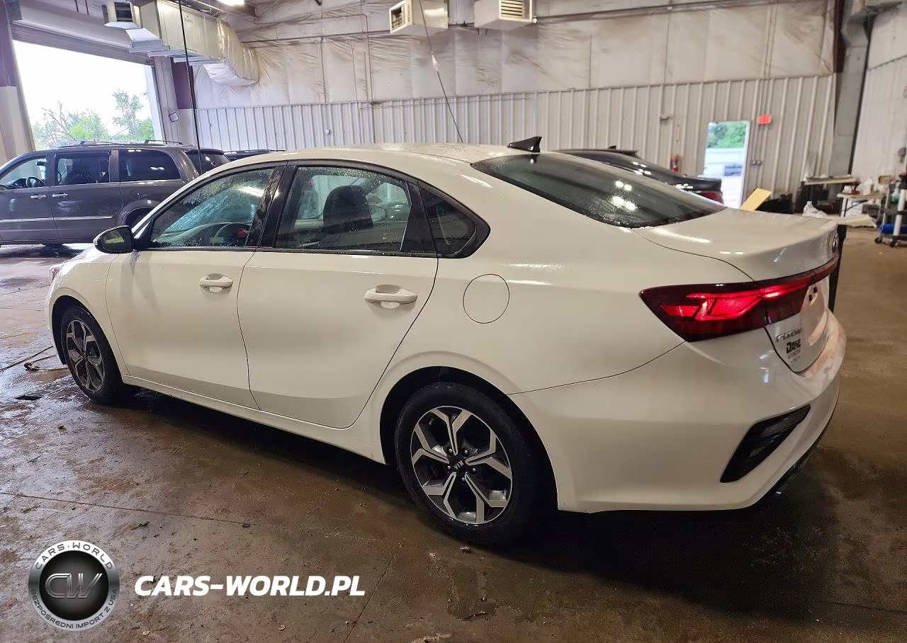 2019 Kia Forte Lxs VIN:3KPF24ADXKE043736 - 2