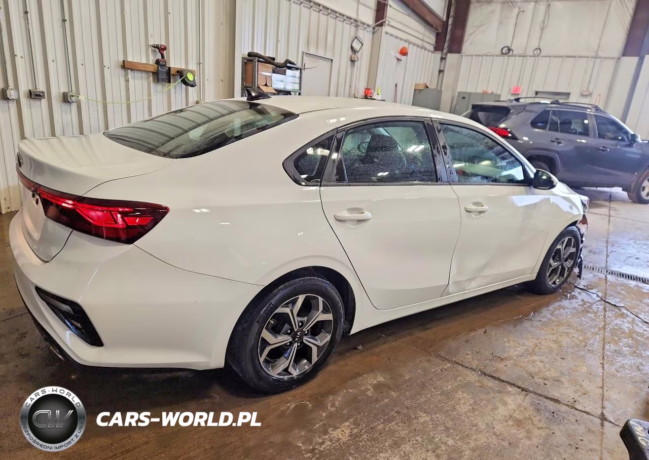 2019 Kia Forte Lxs VIN:3KPF24ADXKE043736 - 3