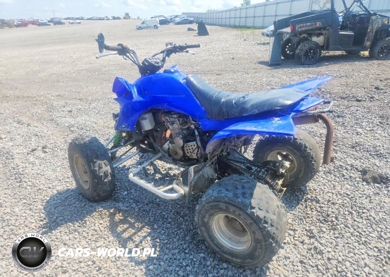 2003 Kawasaki Kfx400 Atv VIN:JSAAK47B532102457 - 3